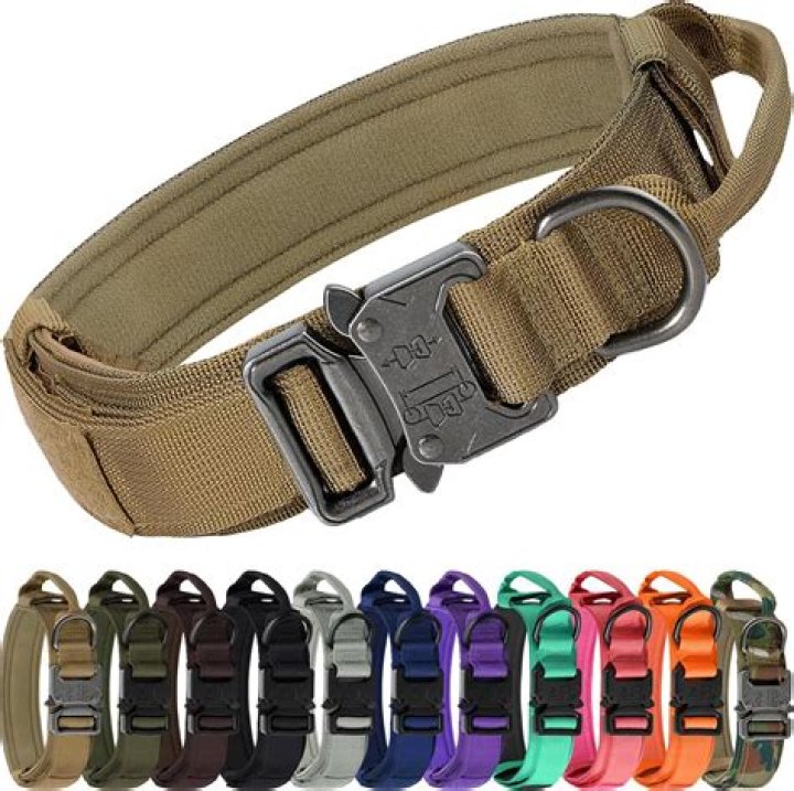Are Lupine collars made in USA?