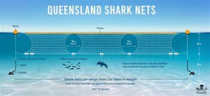 Are there shark nets in Durban?