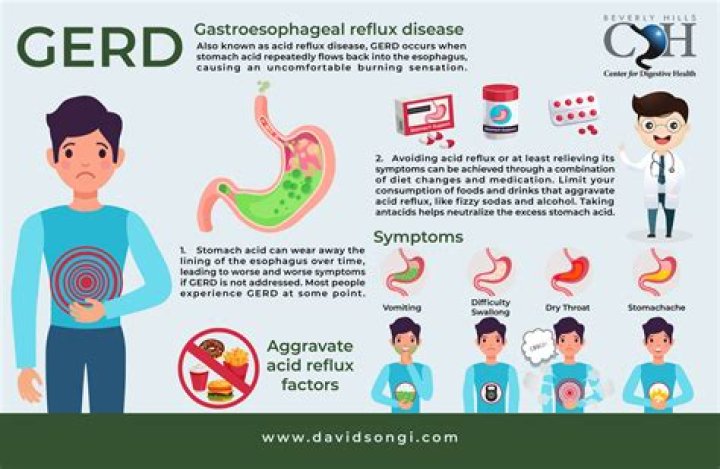 Can theophylline cause GERD?