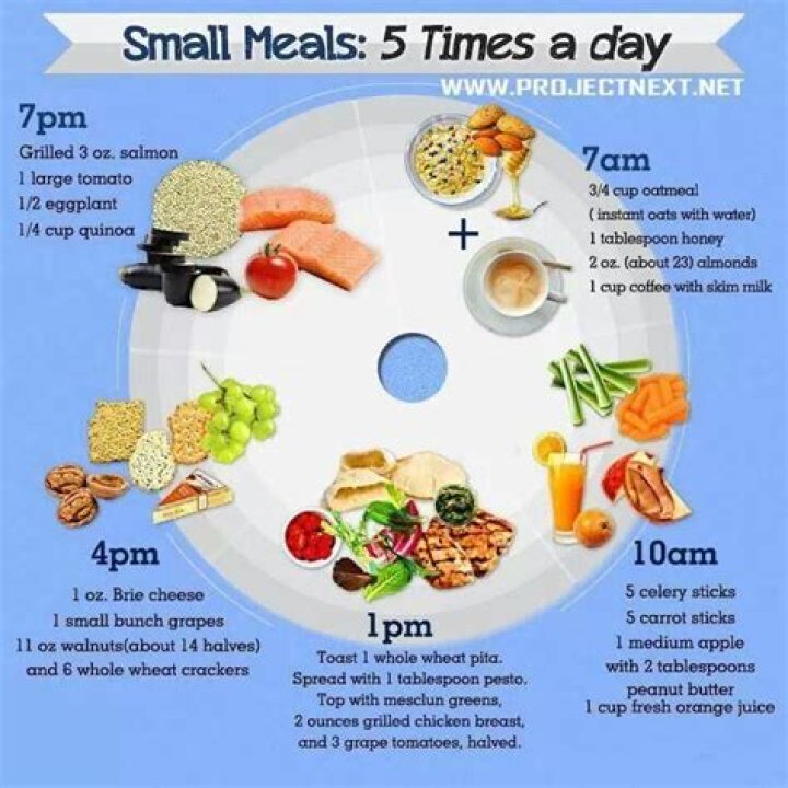 Can you lose weight eating 6 small meals a day?