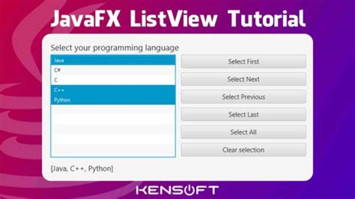 Can you put a JavaFX program in a website?