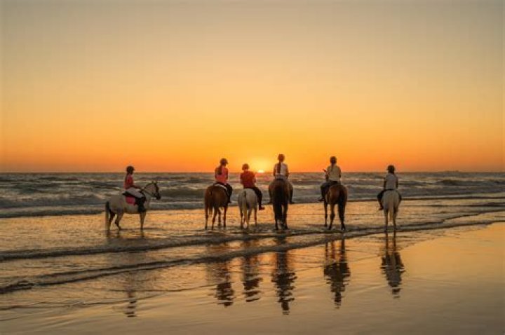 Can you ride your horse on the beach?