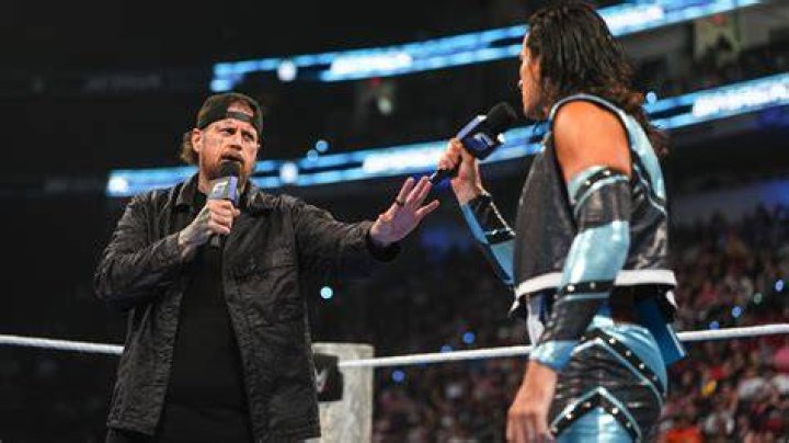 Does a WWE spear hurt?