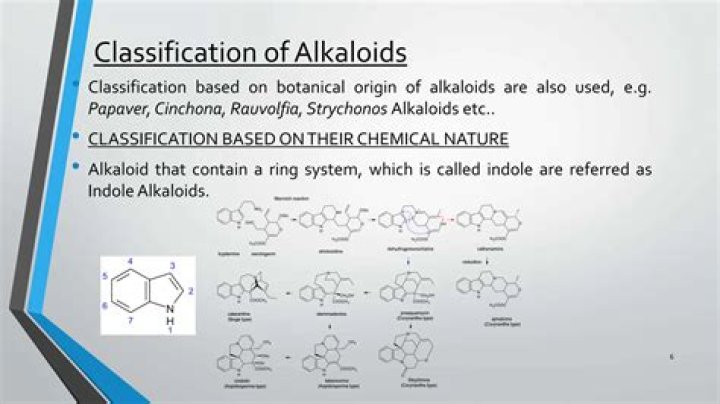 Does cinchona contain alkaloids?