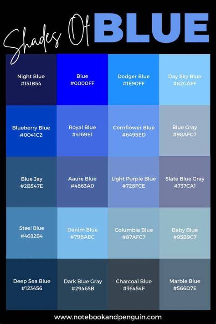 Does Harlee go to jail in shades of blue?