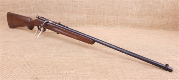 Does Savage make a 22 Hornet rifle?
