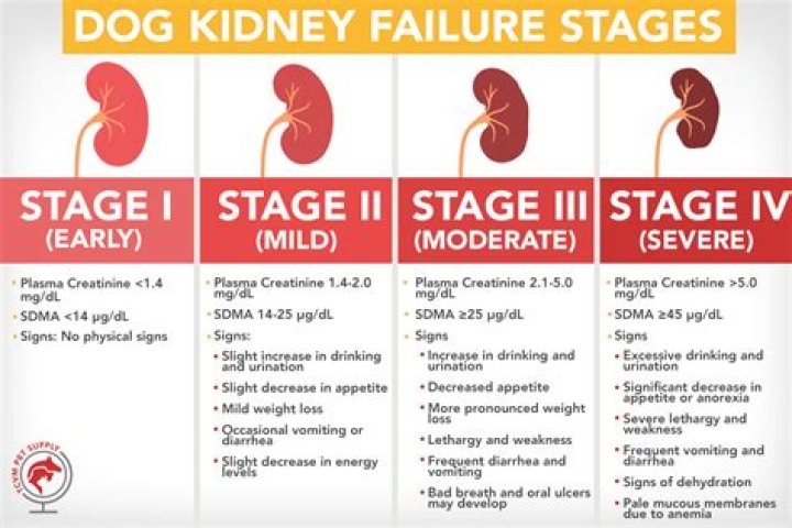 Does Stage 3 kidney disease qualify for disability?