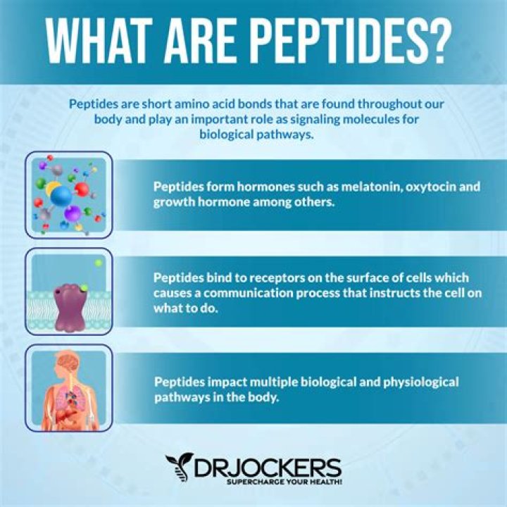 How are peptides transported?