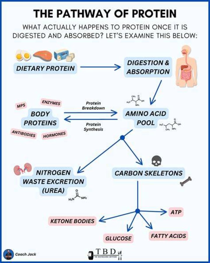 How can I add protein to my vegetables?