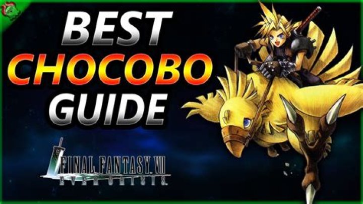 How do I breed the best chocobo?