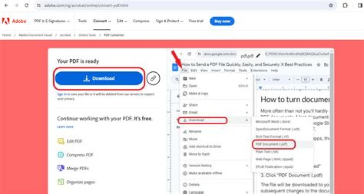 How do I download a PDF from a website?