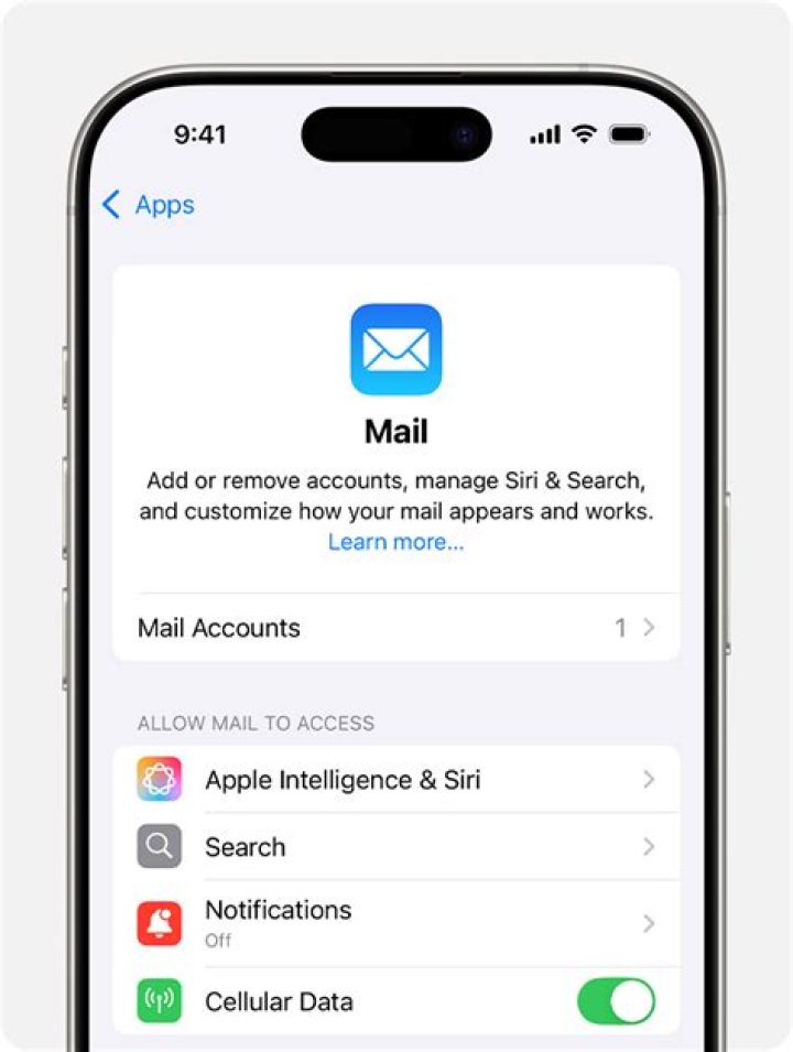 How do I get my Lotus Notes email on my iPhone?