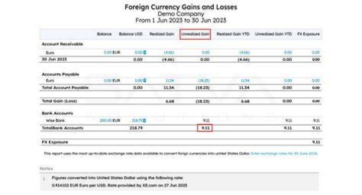 How do you account for foreign currency gains and losses?