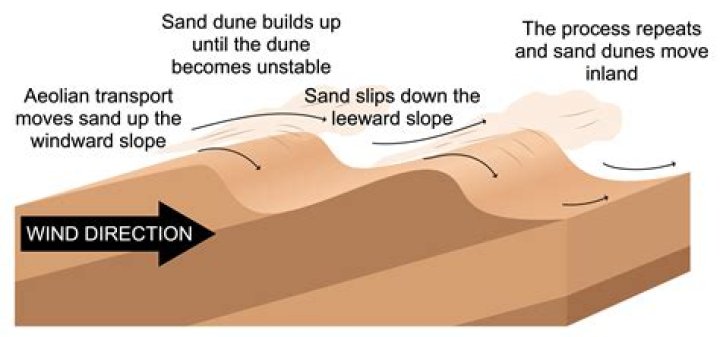 How does wind affect avalanche?