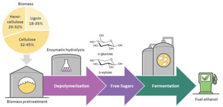 How is FFA biodiesel measured?