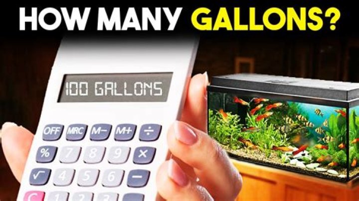 How many gallons is a nano tank?