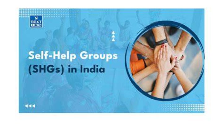 How many self help groups are there in India?