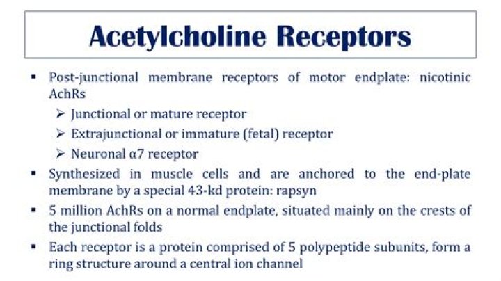 How many subunits are in nicotinic acetylcholine receptors?
