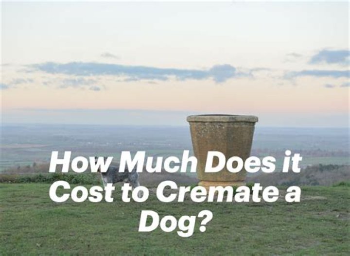 How much does it cost to cremate a dog in Virginia?
