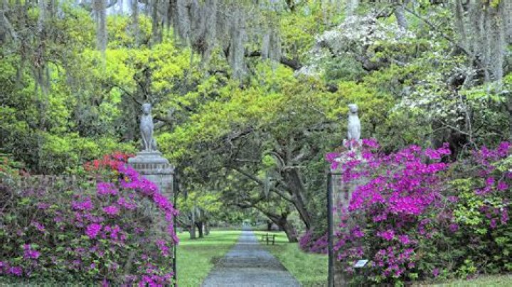 How much does it cost to go to Brookgreen Gardens in South Carolina?