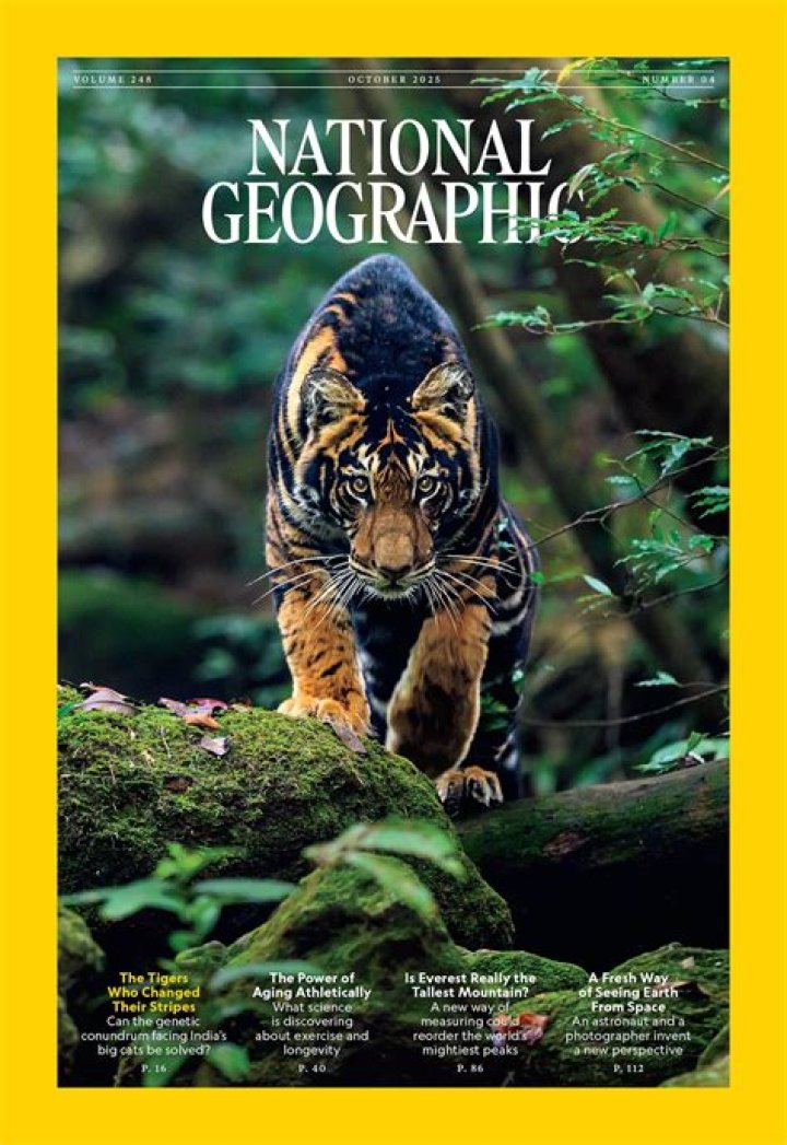 How much is a subscription to the National Geographic?