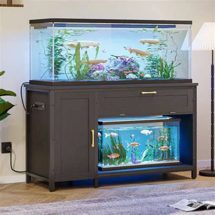 How tall is a 75 gallon fish tank stand?