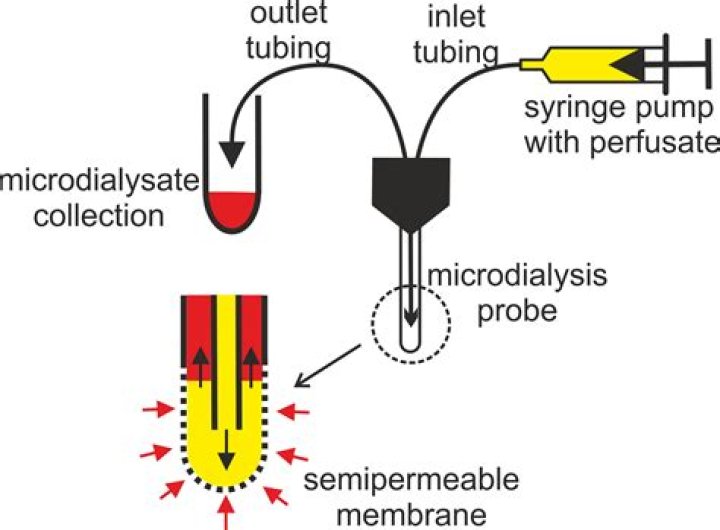 How to do microdialysis?