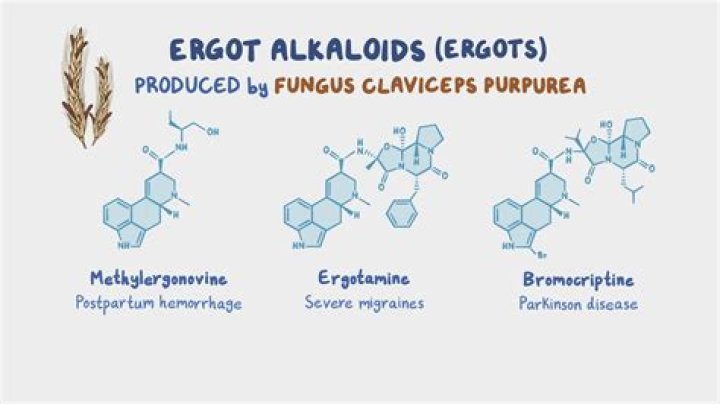 Is ropinirole an ergot?
