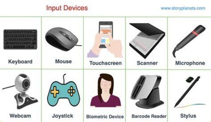 What are input devices teach ICT?