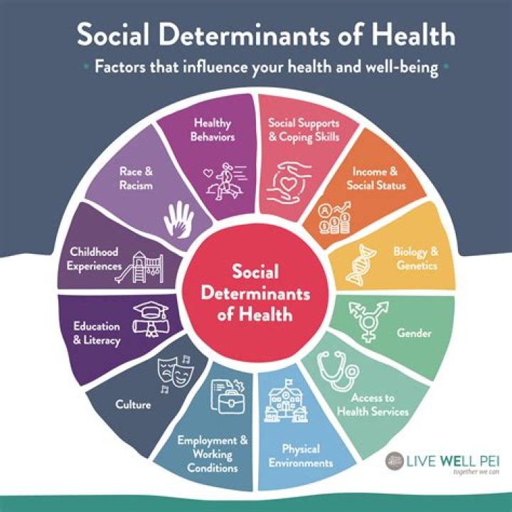 What are the 12 social determinants of health?