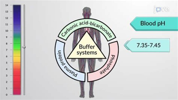 What are the 3 major mechanisms of pH regulation?
