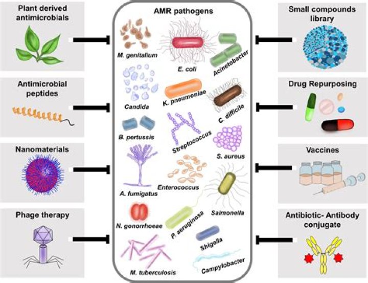 What are the antimicrobial drugs?