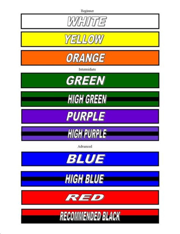What are the belts in order?