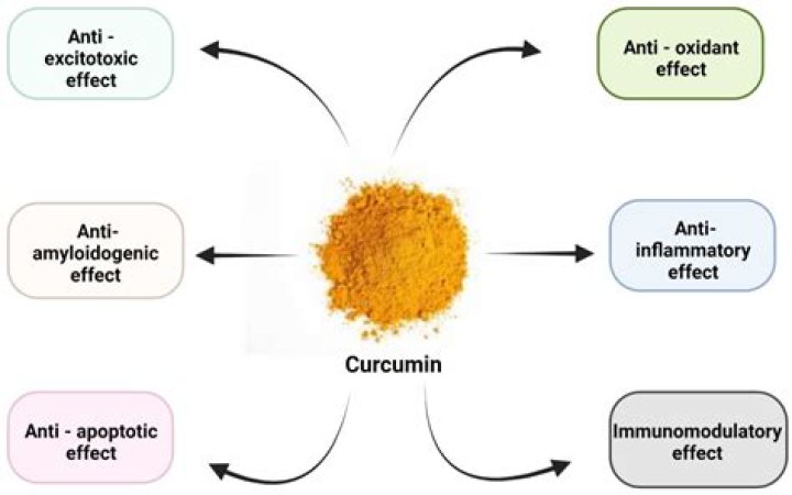 What are the benefits of curcumin 95?
