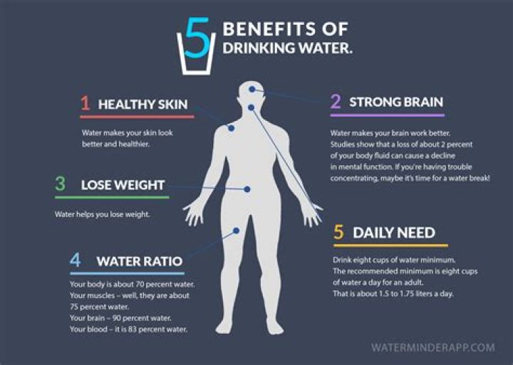What are the benefits of drinking zeal?