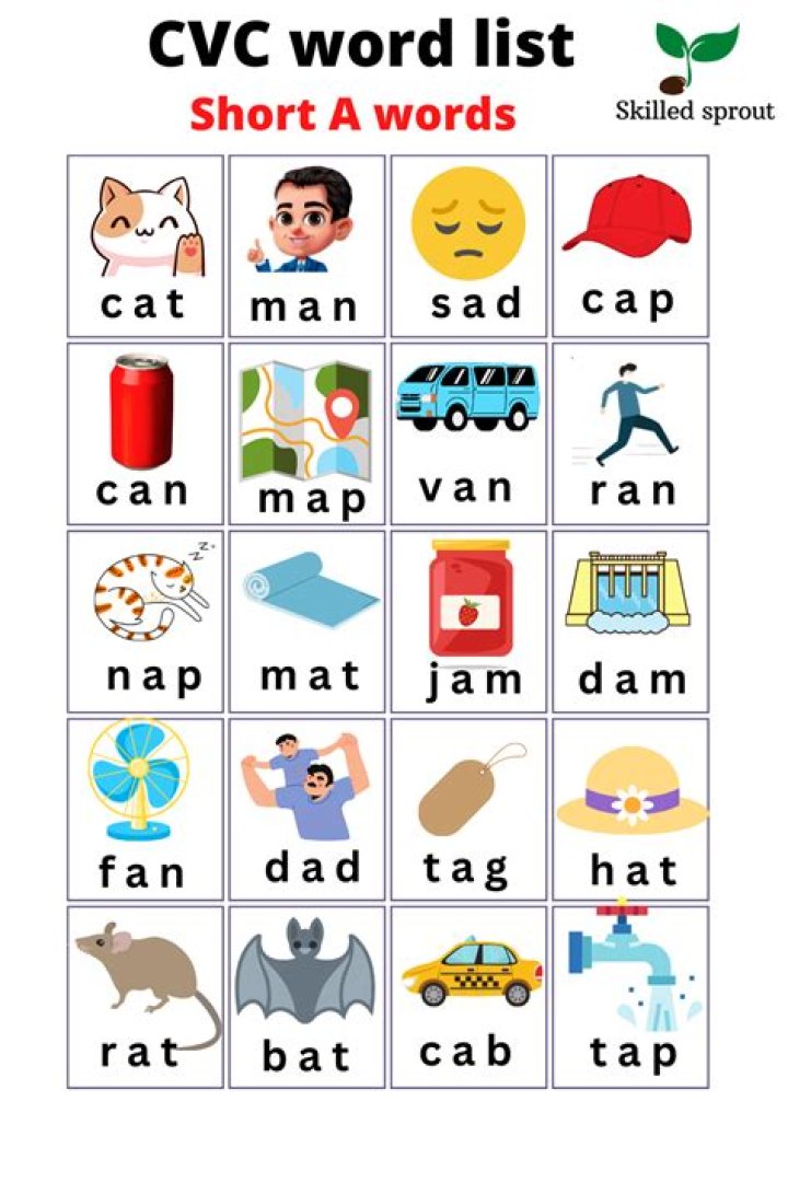 What are the short CVC words?