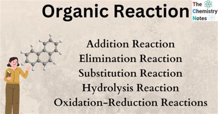 What are the types of organic reaction explain with example?