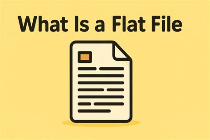 What are VMDK flat files?
