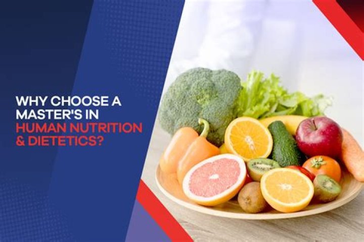 What can you do with a masters in nutrition and food science?
