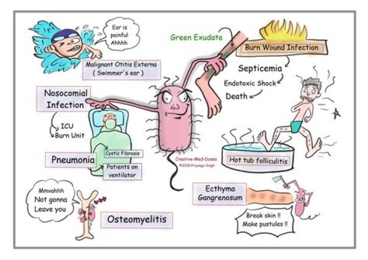 What disease does Pseudomonas putida cause?