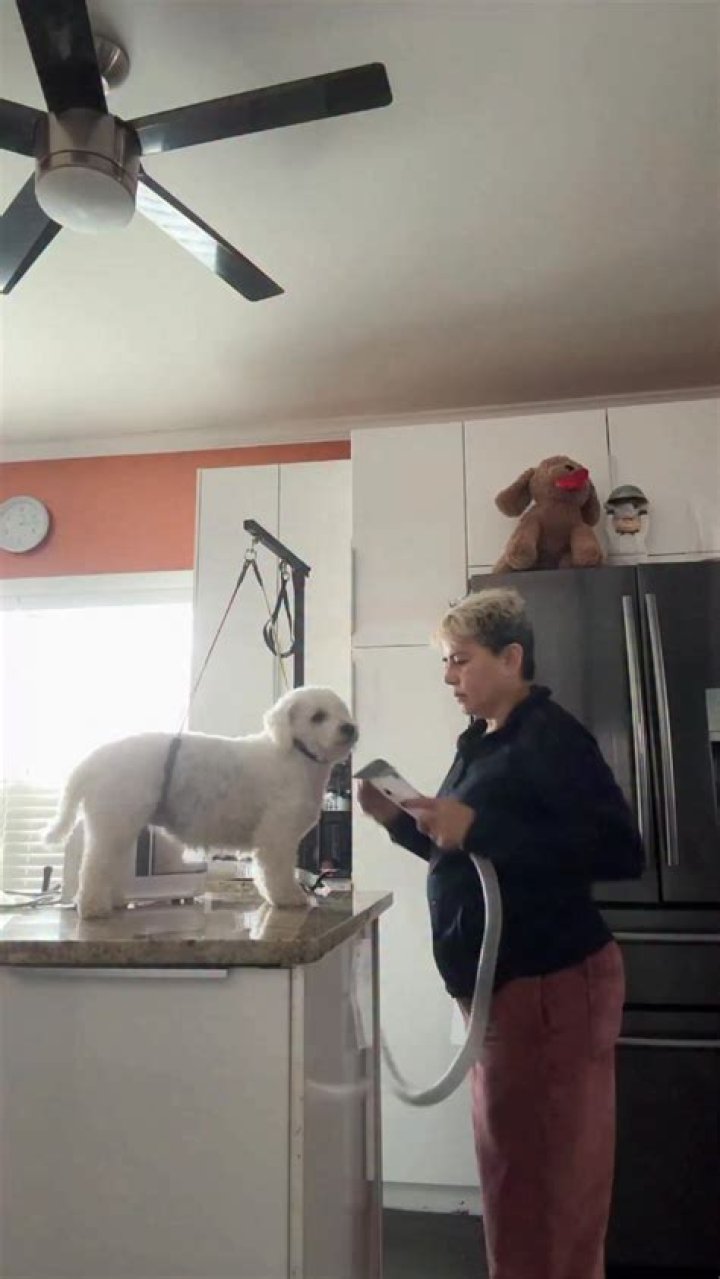 What do you do at home?