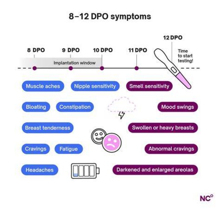 What does BFP 23 DPO mean?