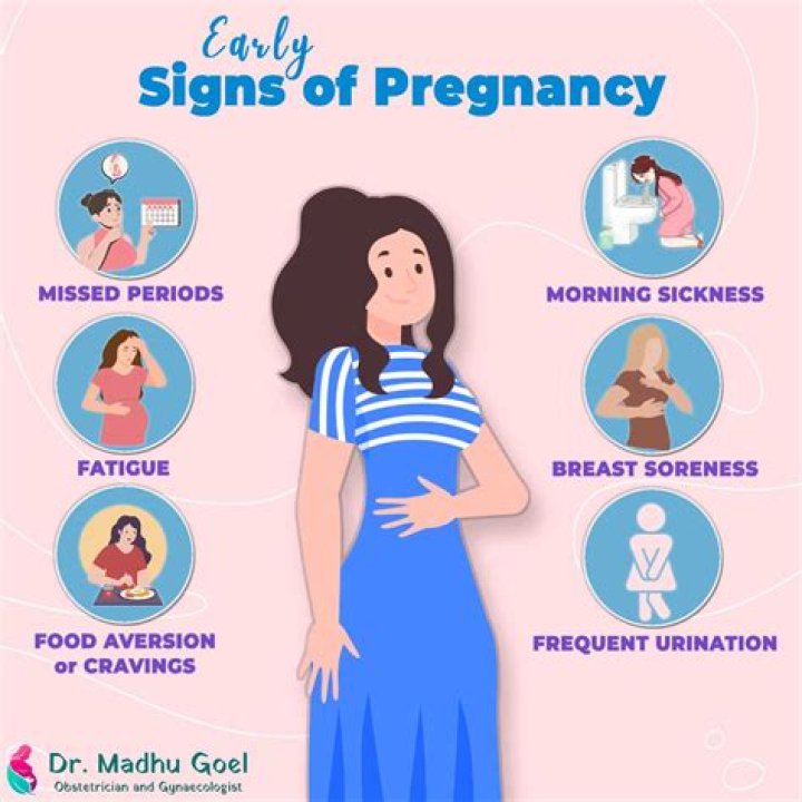 What does breast look like in early stages of pregnancy?