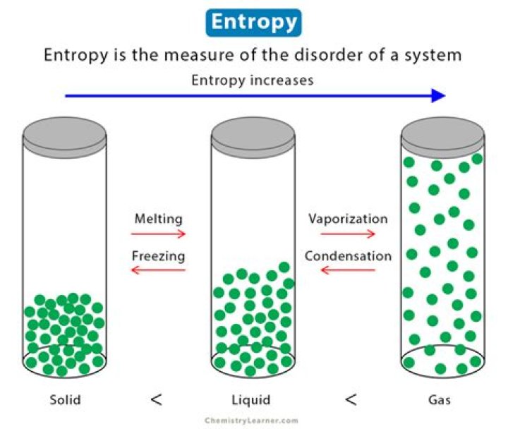 What does the entropy tell you?