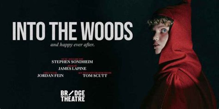 What does the giant represent in Into the Woods?