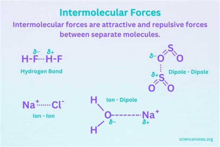What intermolecular forces are present in c5h11oh?