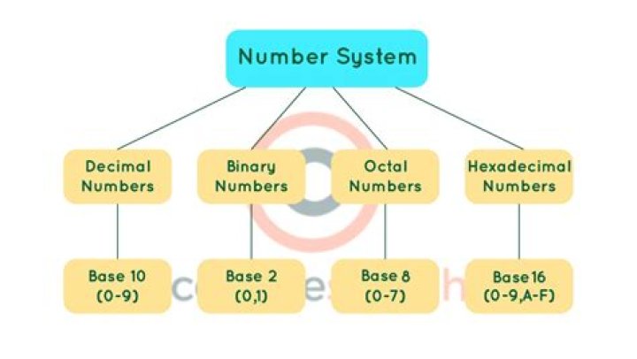 What is a number of staff?