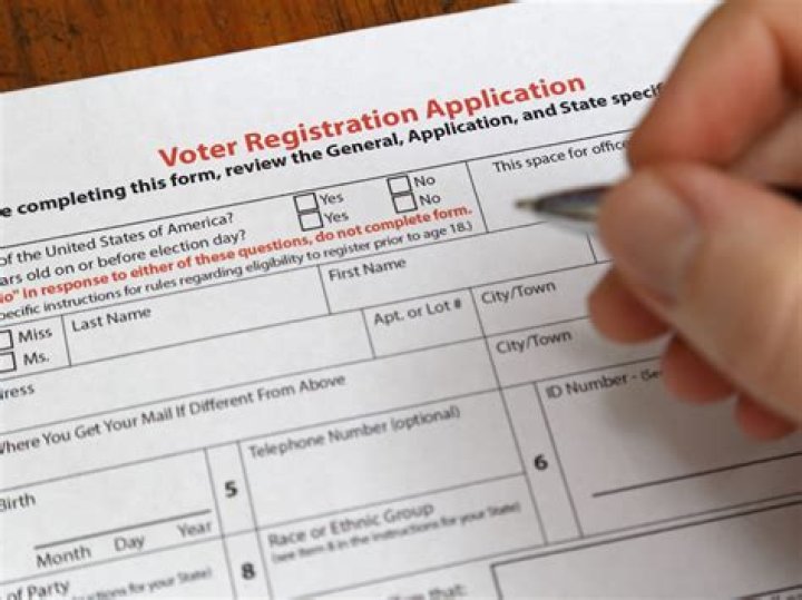 What is a partisan voter AP Gov?