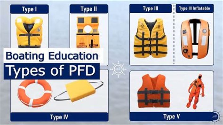 What is a Type 1 PFD used for?