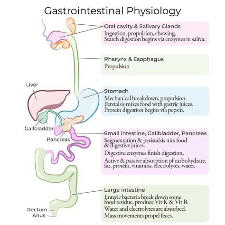 What is GI tract problems?